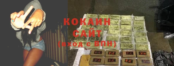 сатива Алзамай