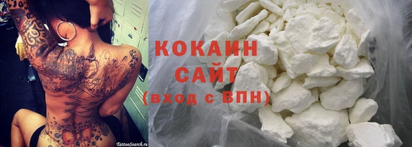 стаф Абаза