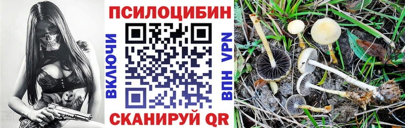 купить наркотики сайты  mega как войти  Псилоцибиновые грибы Cubensis  Киров 
