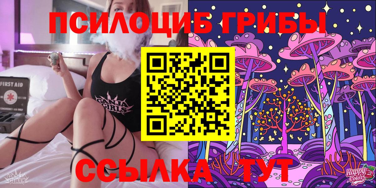 Киров  Псилоцибиновые грибы GOLDEN TEACHER  Вход с VPN 
